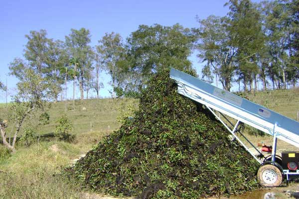 Conveyor system dumping water hyacinth into a pile on shore.
