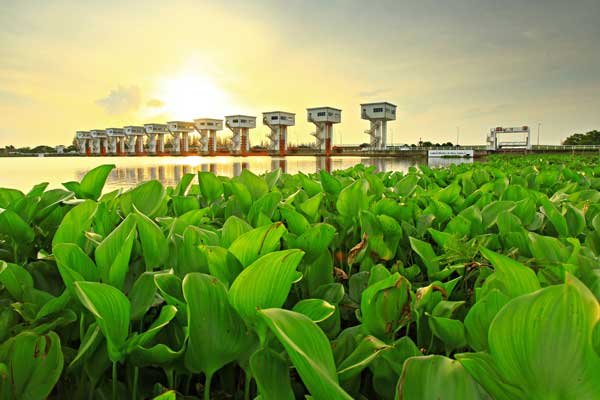 The Royal-initiated Pak Phanang River Basin Development Project