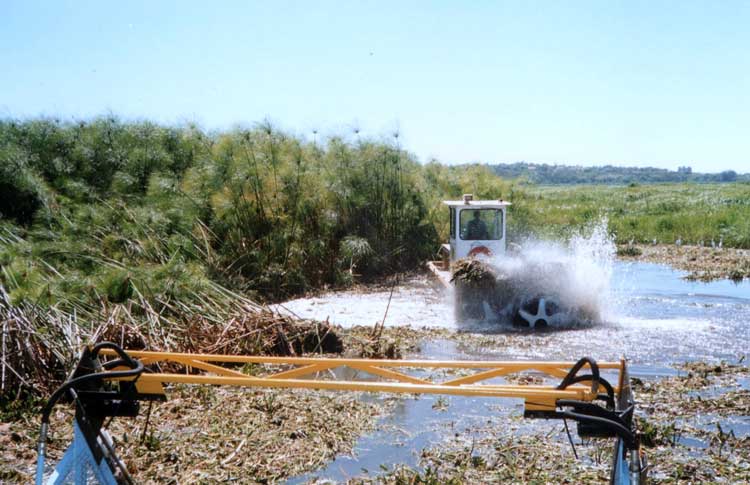 Machine is chopping up aquatic weeds remove the dense mats of vegetation.