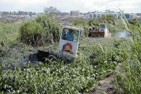 Two AVCs in Canal