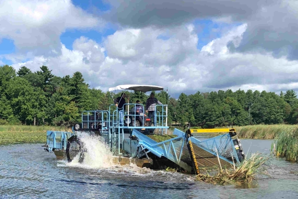 Rice Lake HM-820 Weed harvester picking up mats of aquatic vegetation