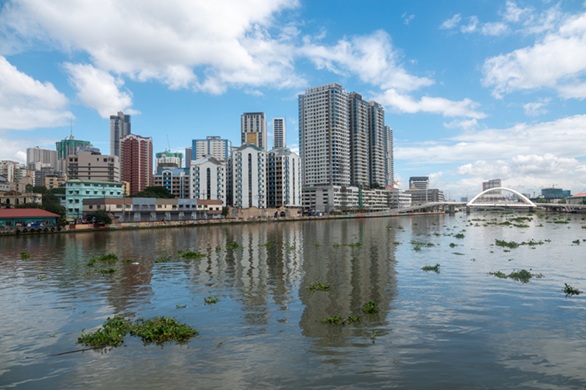 Water hyacinth floating in the Pasig River in the Philippines.